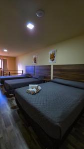 Apartamentos Matices Centro