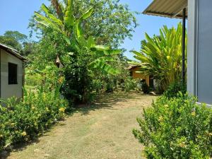 Apartamentos Modular Bahía Ballena