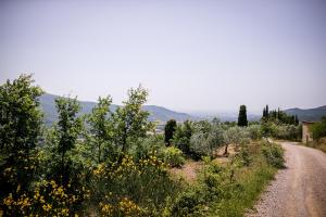 Borgo Al Teto La Vite