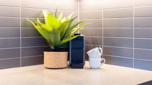 Surf N Turf - The Grandstand