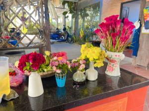 Khu nghỉ dưỡng sinh thái Apsara Sóc Trăng