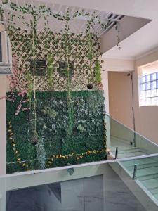 Suite Família a 10min do aeroporto