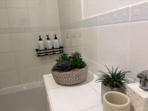 Lovely Room with a view & Parking nr Hampton Court