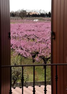 Double or Twin Room with Private Bathroom room in Corte Caselle