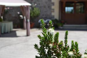 Agriturismo Sa Pigalva img18