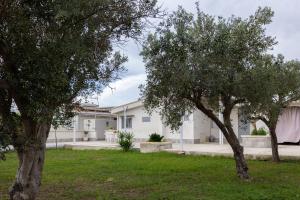 Pool Garden wi-fi AC P-Private