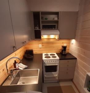 The Aurora Nest by Hilla Villas