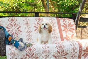 オーシャンヴィラ Breeze and Dog