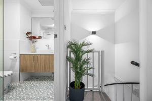 Modern Highgate Townhouse Walk to Beaufort St & HBF Park