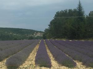 Hotels Le Signoret : photos des chambres