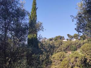 F2 vue mer et montagne au calme