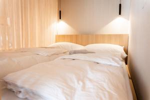 Design Apartment Bad Aussee