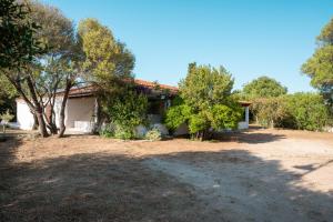 Villa Olivastro by Klodge img7