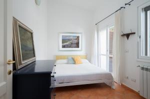 Sea Shell 66 by Klodge img22