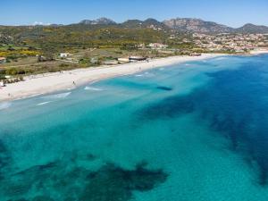 Sea Shell 66 by Klodge img35