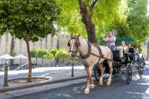 Alcázares Apartment in Historic Center Córdoba