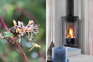 20224-Samso-Rosenvej-67