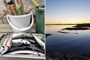 BOH668-Kloevedal-Bjoerholmen-81