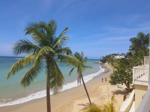 Cabarete Beach Palace 3-BDR Condo