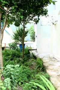 Mount Holiday Mud House