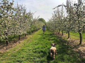 Elkstone House, Hot tub Luxury, Comfortable Home