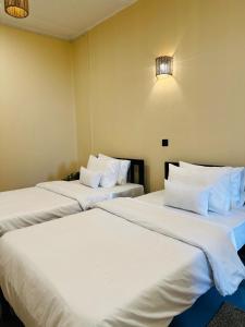 Backyard Bed & Kitchen