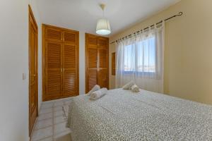 Chayofa Falcon By Welcome Tenerife