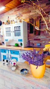 Holiday Home Paunovaca