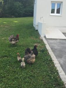 Maisons d'hotes Le Clos du Silberthal : photos des chambres