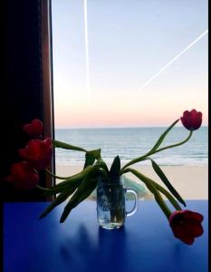 Seafront Luxury Studio with Panoramic Sea View, Sunny Beach