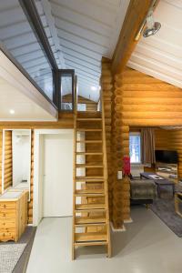 Levikoto 3 B Visit Levi