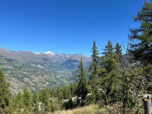 Studio fraîchement rénové proche pistes