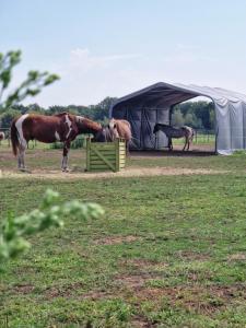 Landgoed de Bossenhoeve
