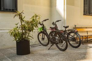 Leevin Student Barcelona