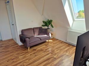 Dachgeschosswohnung 1 - Apartments am Schloss