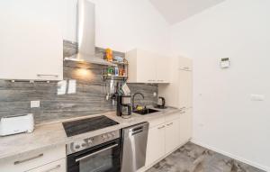 Cozy Apartment In Vir With Wifi