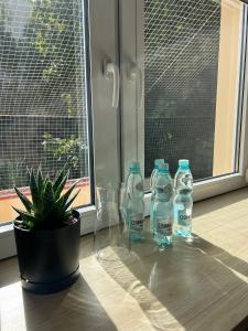 Main Square Apartment- Tomasza Street