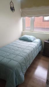 Depto vive los arrierros