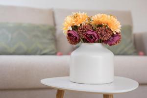 Home2Book Modern Apt with Pool in Corralejo Oasis