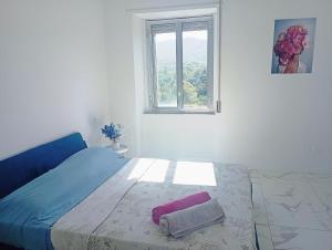 Il piccolo zaffiro blu - Isernia