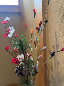 SUZUNONE The only private lodging in Tokyo 2 min walk natural hot springs near BIG super market ASAKUSA AKIHABARA SKYTREE nearby Japanese TATAMI style 70m2