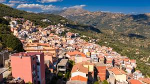 Sa omu de sa palgia img29