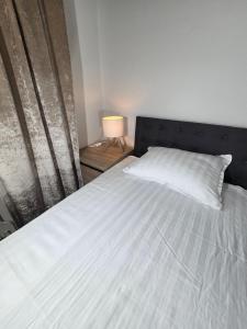 Bright Family Apartment with Balcony