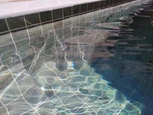 Leisure Space - Refúgio com Piscina climatizada e churrasqueira