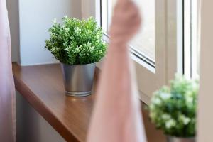 Słoneczne Jasne Studio w Łebie by Noclegi Renters