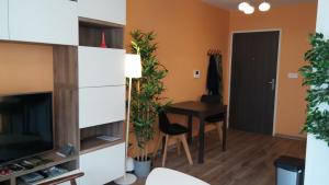 Charming studio with terrace and underground parking