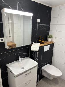 Stylish two-rooms and kitchen apartment 66 m2