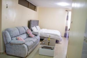 Cosy, affordable studio-Nairobi