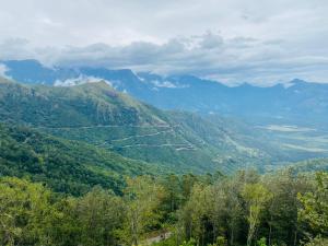 Saras HomeStay Munnar Kerala