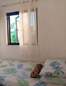 Uncle Bob&Teres Beachfront House